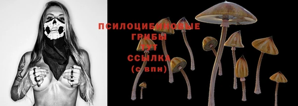 ECSTASY Алзамай