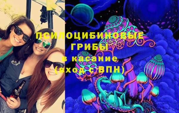 ECSTASY Алзамай