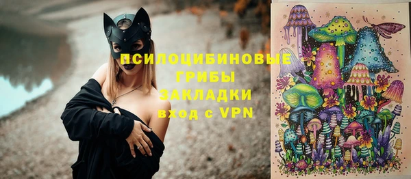ECSTASY Алзамай