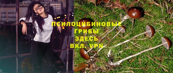 эйфоретик Алексеевка