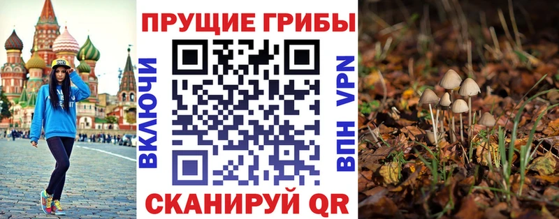 Псилоцибиновые грибы мухоморы  наркота  Родники 